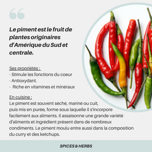 [S P I C E S  &  H E R B S] - Le piment 