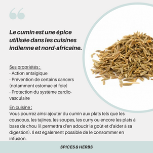 [S P I C E S  &  H E R B S] - Le cumin