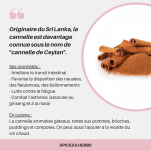 [S P I C E S  &  H E R B S] - La Cannelle