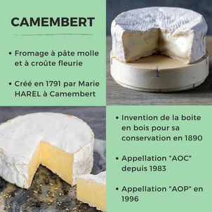 [F O C U S   D A Y] - Le Camembert