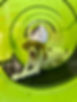 Training page.jpg