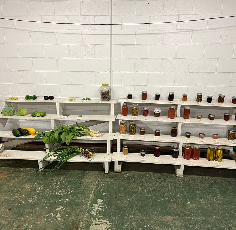 Photos Amelia County Fair