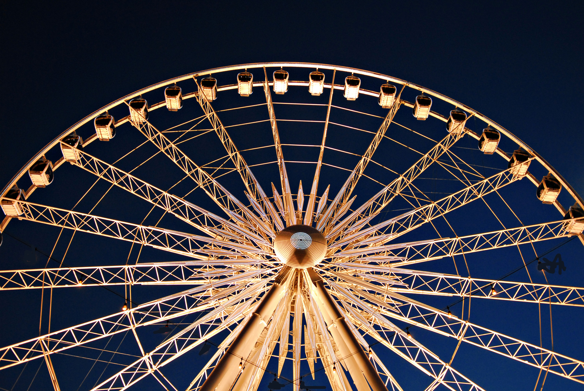 County Amelia County Fair