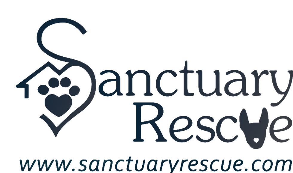 SR Logo Blue-Transparent.png