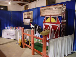 FAIR PICTURES 2009 052.jpg