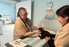 Wellness Clinic 2.jpeg