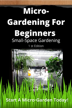 Micro-Gardening for Beginners