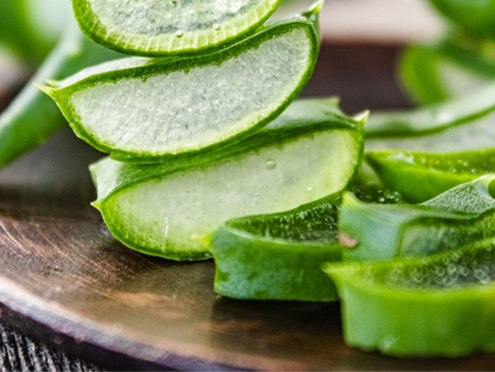 A  Beneficial Houseplant: Aloe Vera & More!