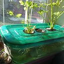 P_20201201_102602_LL.jpg