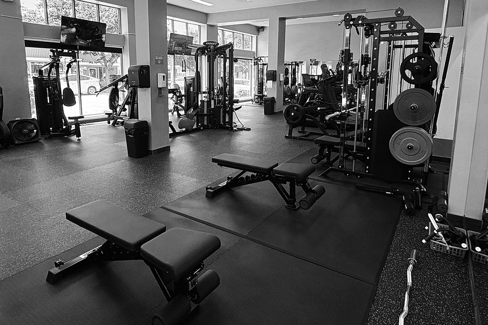 Rio Fit 2 B&W Pic for Wix.png