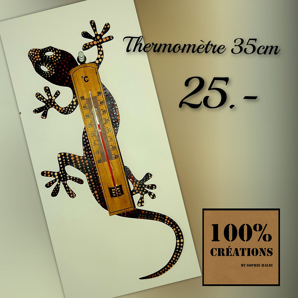 THERMOMETRE SALAMANDRE