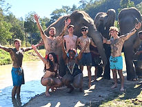 Guests meeting rescued elephants at an ethical elephant sanctuary in Chiang Mai.