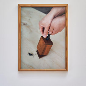 벌레 잡는 도구 사진.jpg