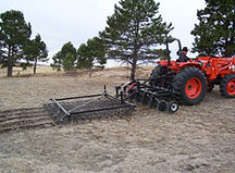 100_0699%201.jpg