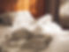 istockphoto-1045273136-612x612.jpg