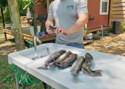 River fishing experience at Piney Bend Riverfront on the Big Piney River
