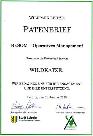 Wildkatze2023.JPG