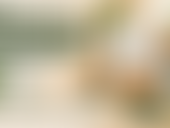 Bubble Tea Packaging & Straw Compliance Guide for USA Cafés: State-by-State Plastic Rules for 2026