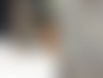 Erwartung an den Hund - An den Hundetrainer - An sich selbst