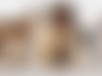 Welcher Hund passt zu mir?