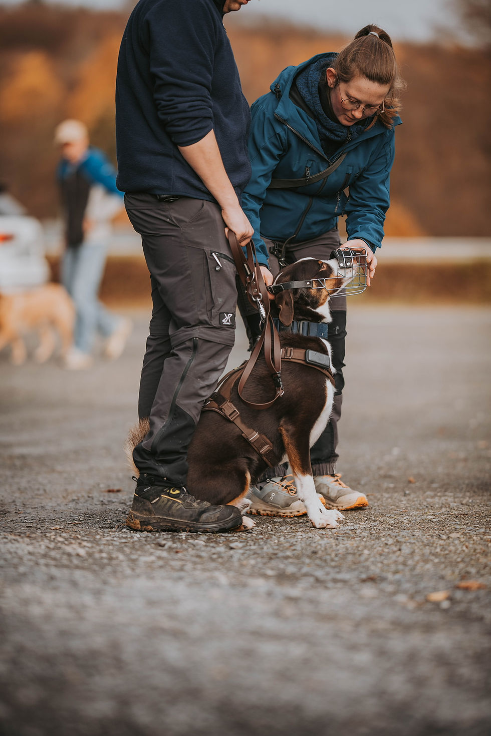 Kunden von Dogs Unchained die ihrem Hund einen Maukorb anziehen.