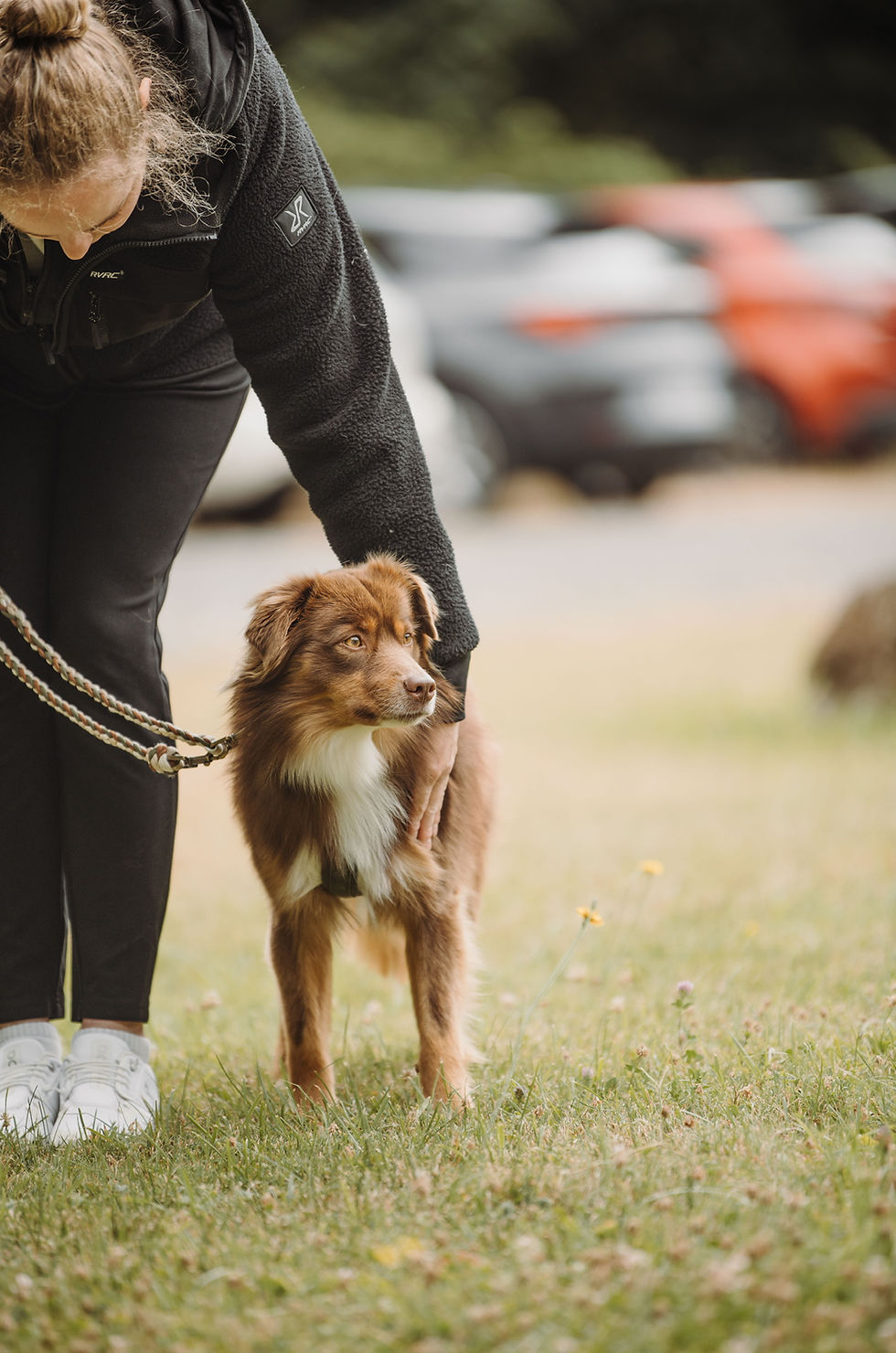 Kunden von Dogs Unchained im Training.