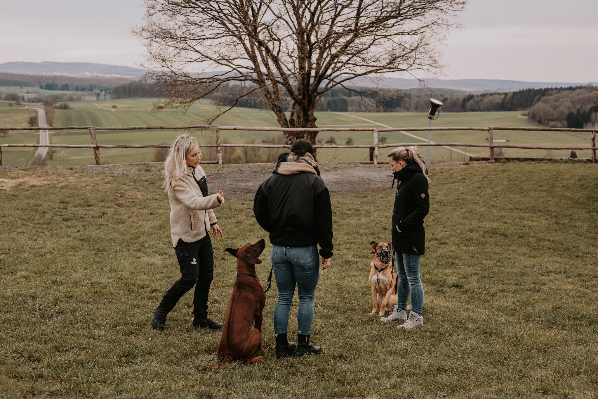 Pia von Dogs Unchained mit zwei Kunden und ihren Hunden beim Begegnungstraining