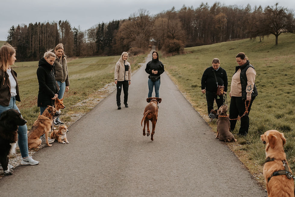 PiaHundeschule-173.jpg