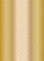 社交ダンスシューズ | Ads Japan Dance Shoes ～エーディーエス ダンス