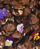 Brownie.jpg