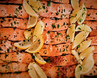 salmon (2)_edited.jpg