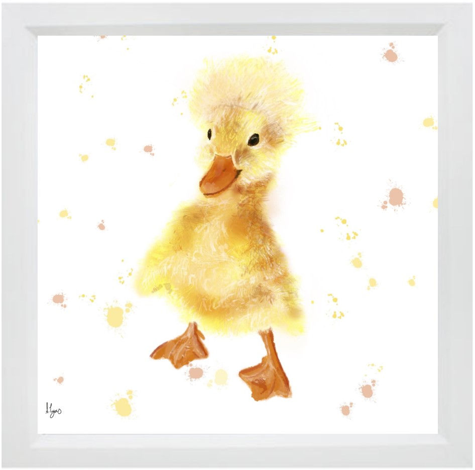 'The Not So Ugly' Duckling