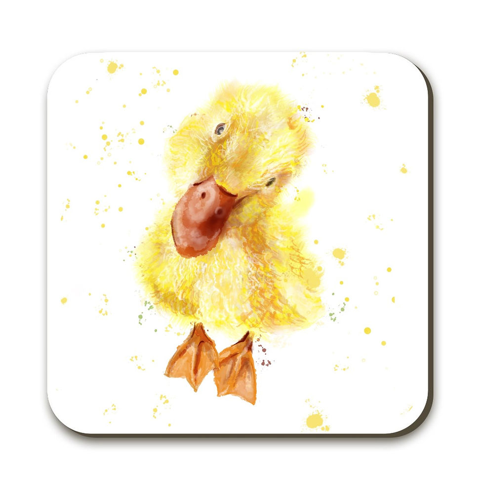 Duckling Coaster