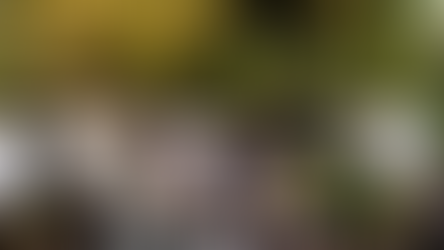 Aussie Meat Academy: Hành trình đưa phần cắt thứ cấp từ bò Wagyu & cừu Úc đến bàn ăn Việt