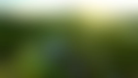 Vietnam Golf Coast đã sẵn sàng cho các giải đấu lớn trong năm 2024