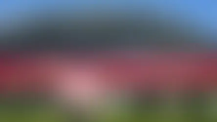World Cup "hô biến" New York thành không gian triển lãm nghệ thuật ngoài trời
