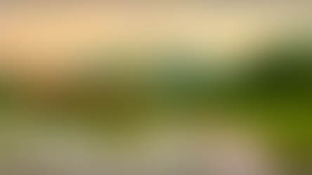 Save Turtles Run 2024 – “Chạy bộ vì rùa biển” mùa 3 cùng The Secret Côn Đảo