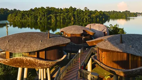 Mandai Rainforest - Khu nghỉ dưỡng hạng sang ẩn sâu giữa rừng nhiệt đới Singapore