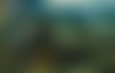 Những viên ngọc quý - những bậc thầy ẩn giấu trong lịch sử hội họa Hà Lan