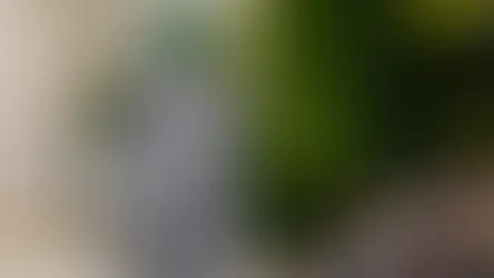 Thom Browne mở ra cuộc chạm trán ngoài vũ trụ trong bộ sưu tập Xuân/Hè 2026