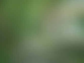 Poulo Condor Côn Đảo: Nơi ký ức hóa thành chốn an trú của tinh thần "không vội vã"