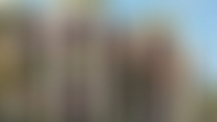 Waldorf Astoria San Miguel - Chốn nghỉ dưỡng mang vẻ đẹp thanh lịch tại Mexico