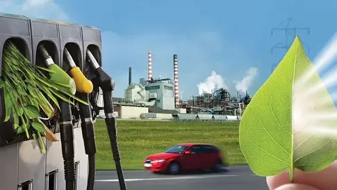 Việt Nam – Hoa Kỳ thúc đẩy hợp tác lĩnh vực nguyên liệu sinh học, ethanol