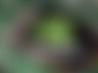 Nvidia mua cổ phần trị giá 5 tỷ USD của Intel theo thỏa thuận hồi tháng 9/2025