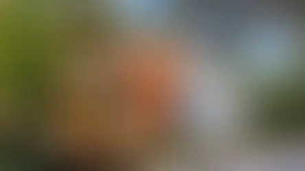 Khu phố Cổ Savannah - Bảo tàng sống giữa lòng thời gian với kiến trúc Mỹ độc đáo