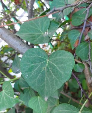 20221024_095038.jpg