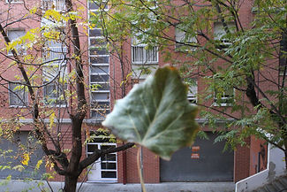 IMG_0184.JPG