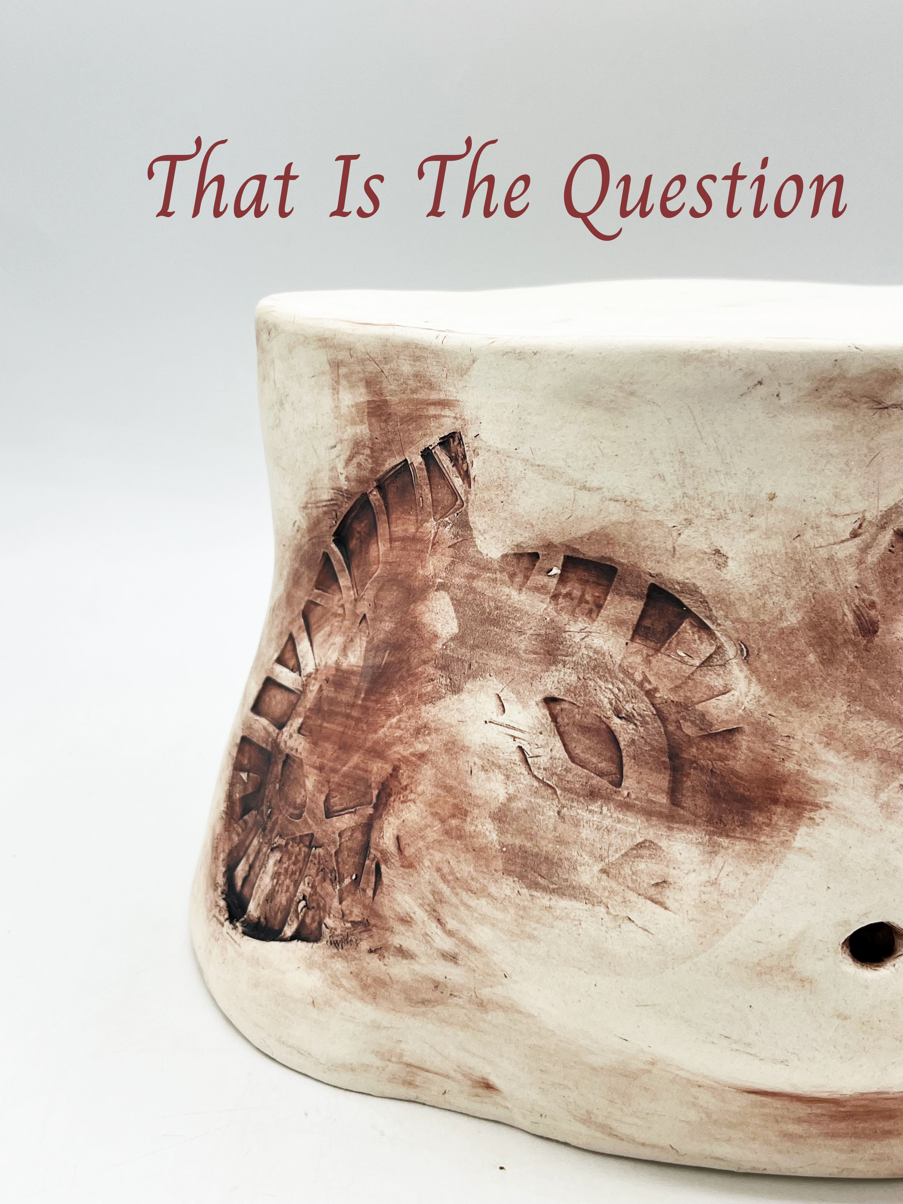 That Is The Question Book