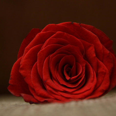 Transformation of the heart