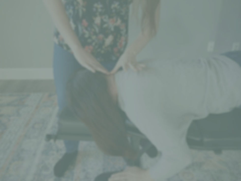 Network Spinal Adjustment